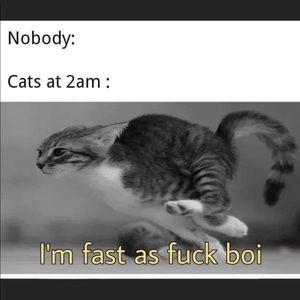 Meet your Posher, Darren